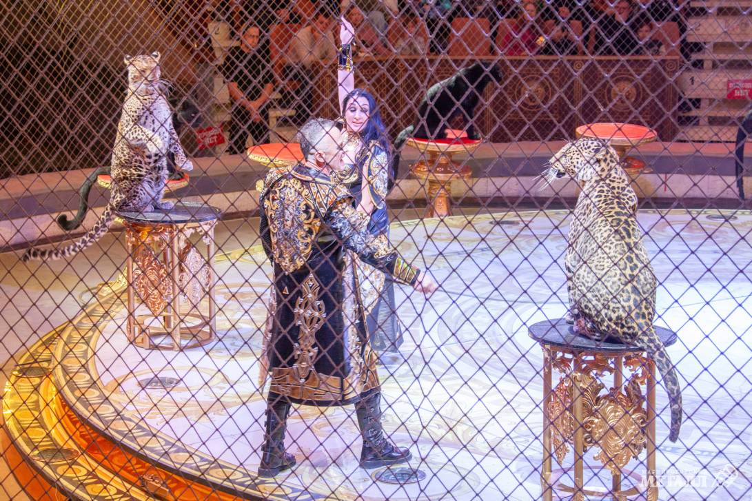 Новый год в Стране чудес | Фотография 38