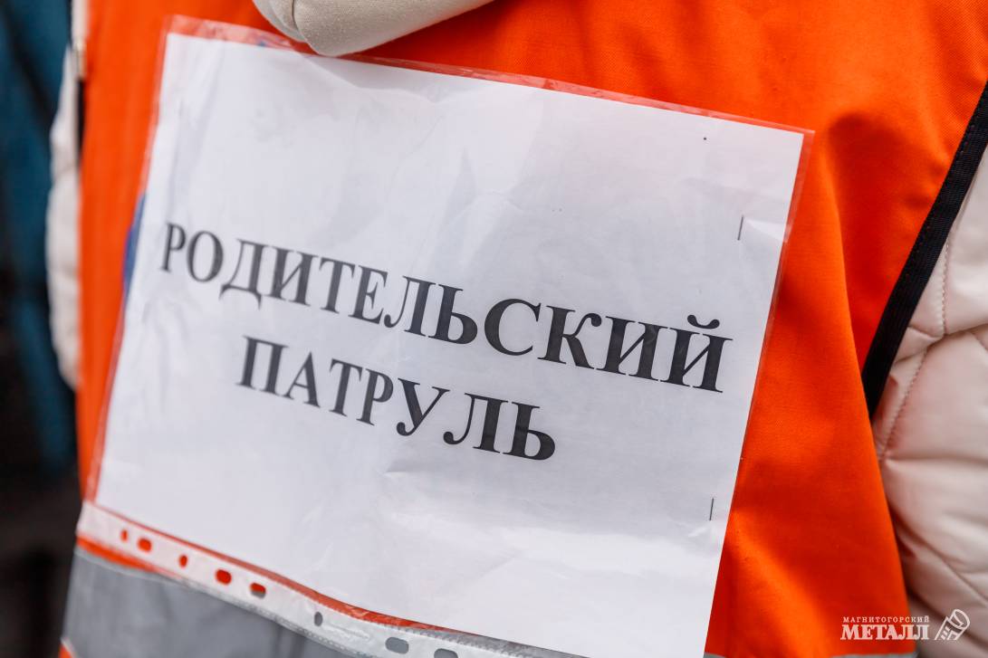 СИМы снова в строю | Фотография 2