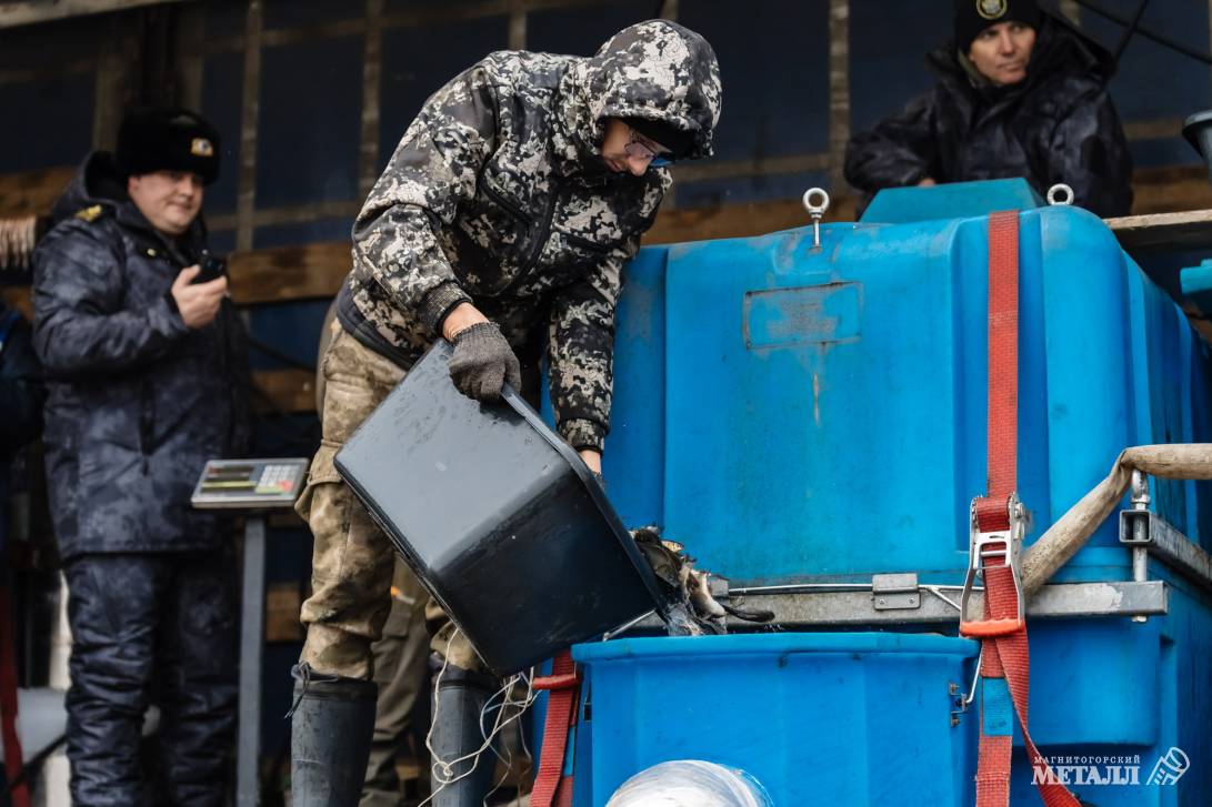 Рыбаки, готовьте удочки! | Фотография 18