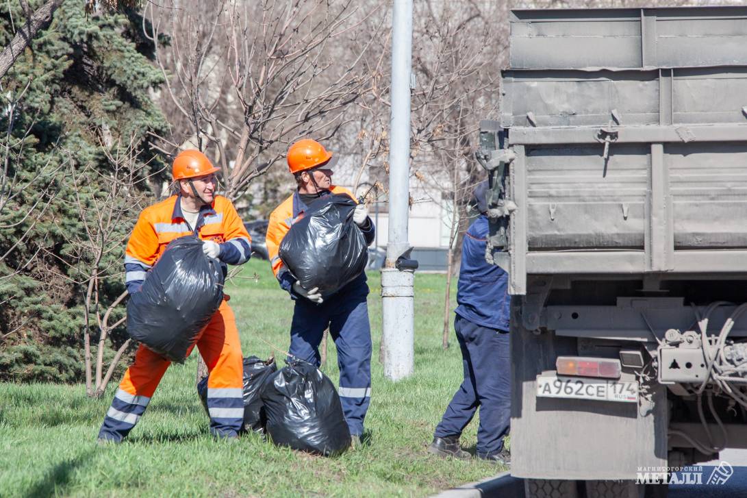 Живая природа на промплощадке | Фотография 2