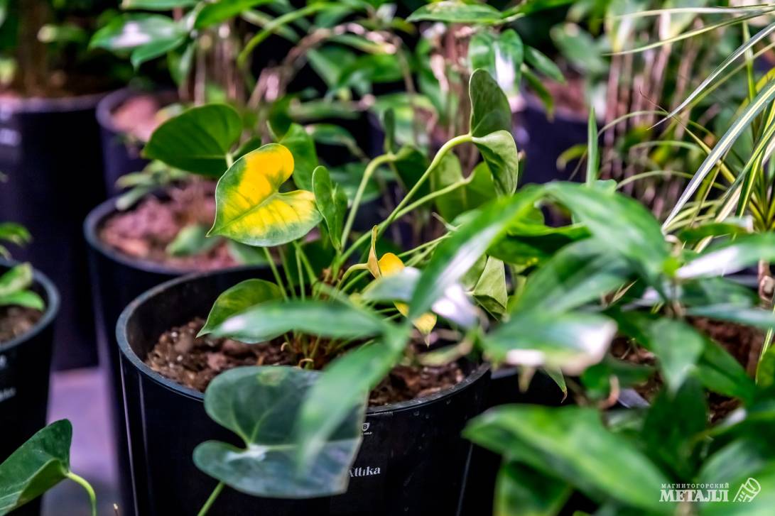 И среди зимы бывает лето | Фотография 20