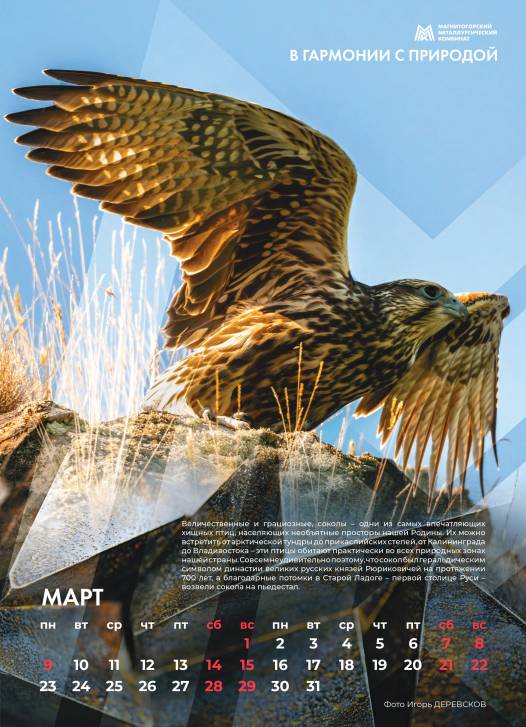 Так выглядит совершенство | Фотография 4