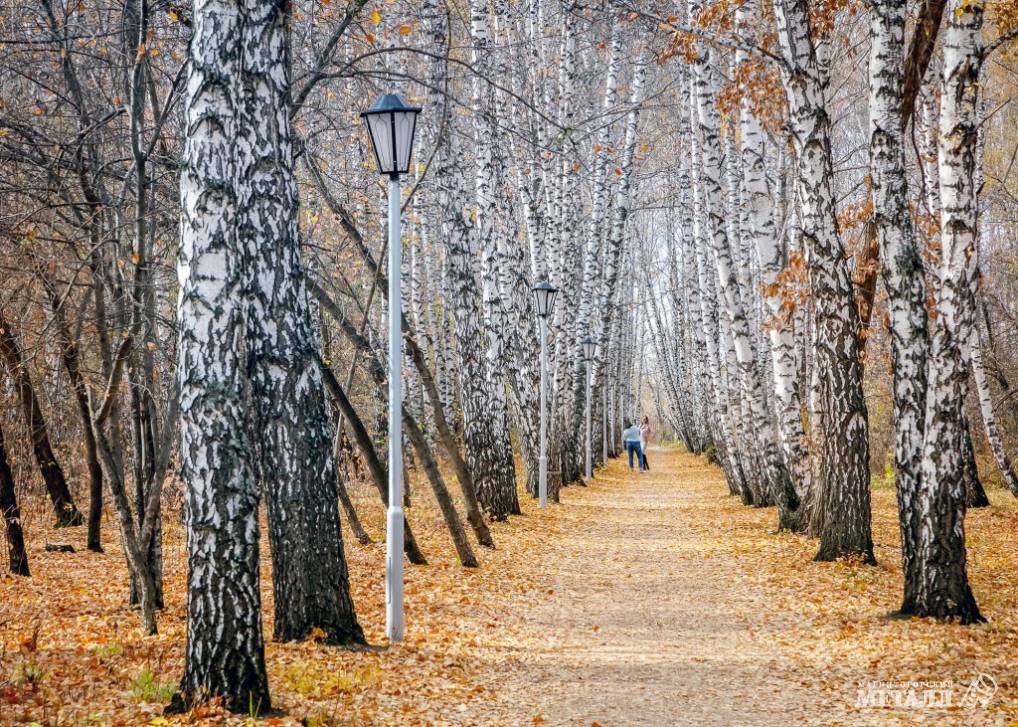 Чего ждать от ноября | Фотография 1