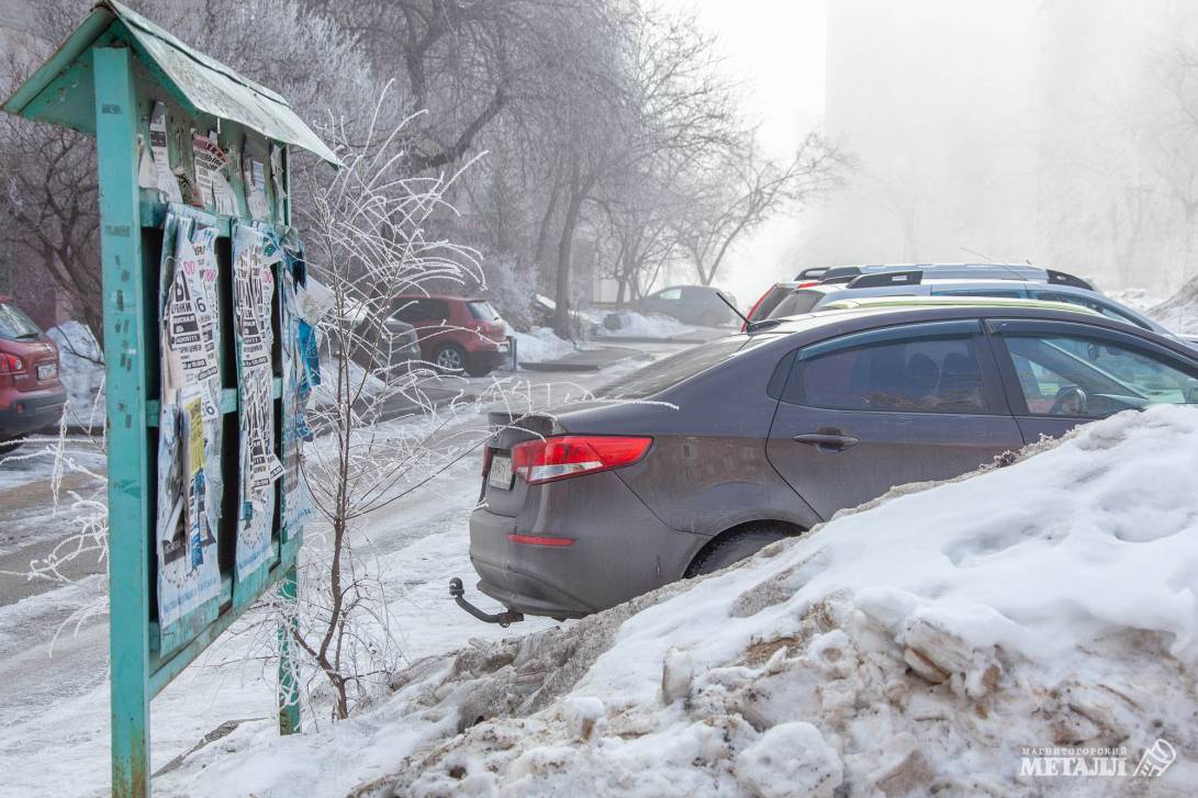 Весенние заботы | Фотография 8