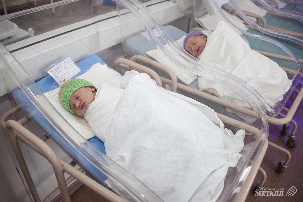 Региону нужны дети | Фотография 1