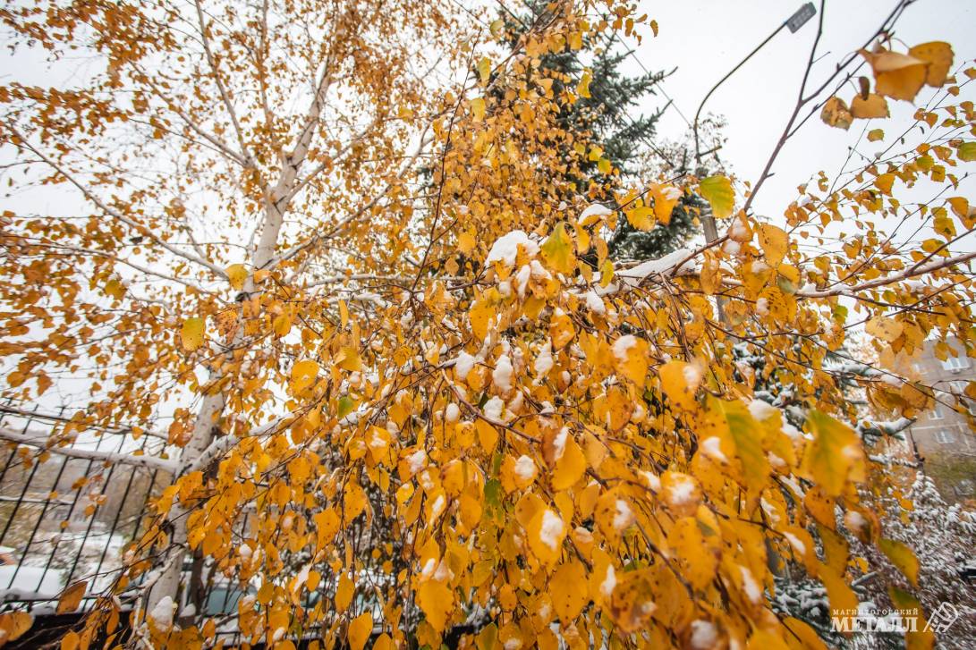 Почему синоптики ошибаются | Фотография 8