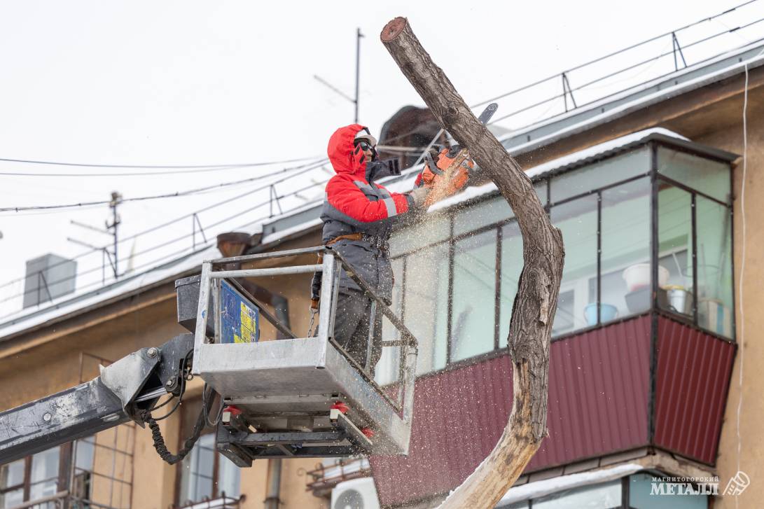 Убрать старое, чтобы посадить новое | Фотография 2