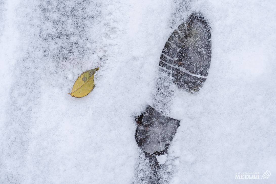 Прощай, зима! | Фотография 16