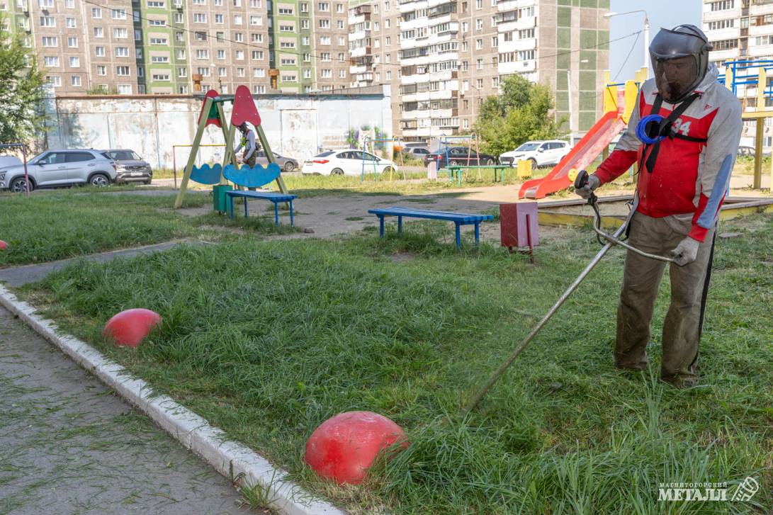 Рост нужно контролировать  | Фотография 4