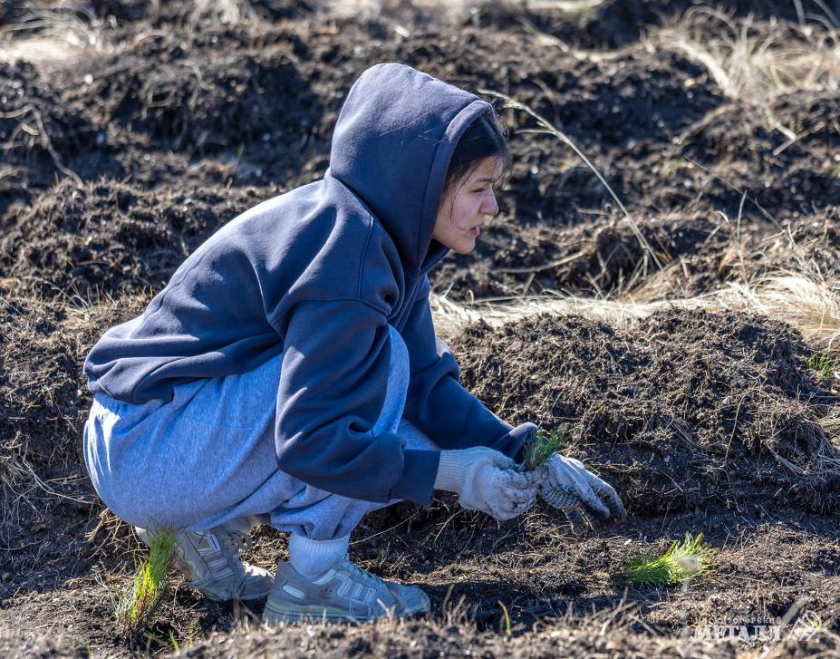 Не про потребление, а про созидание! | Фотография 17