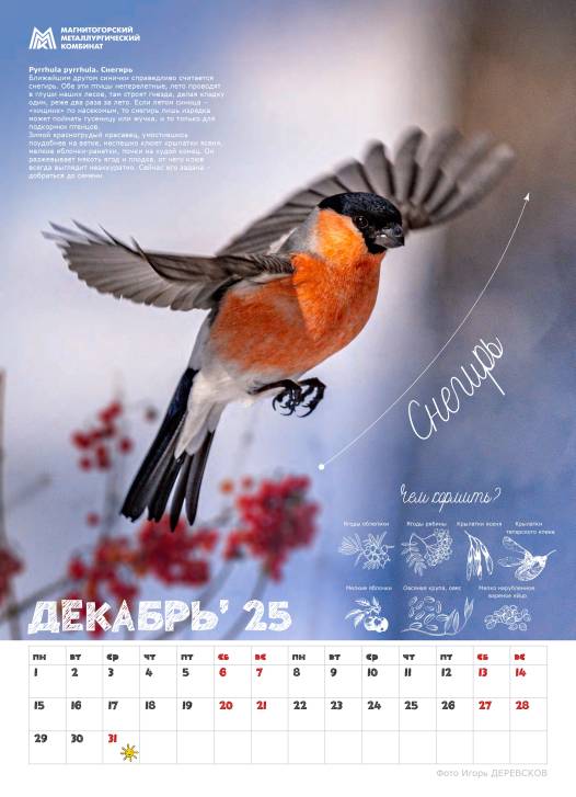 Синичкины друзья | Фотография 5
