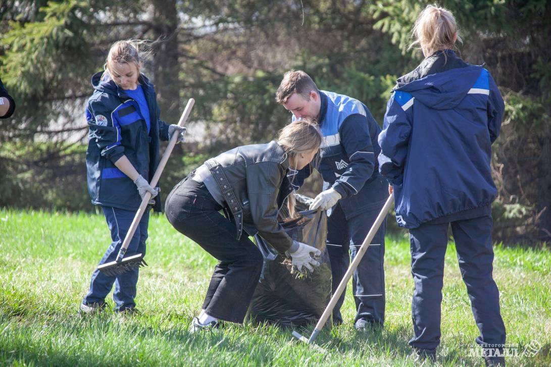 Живая природа на промплощадке | Фотография 3