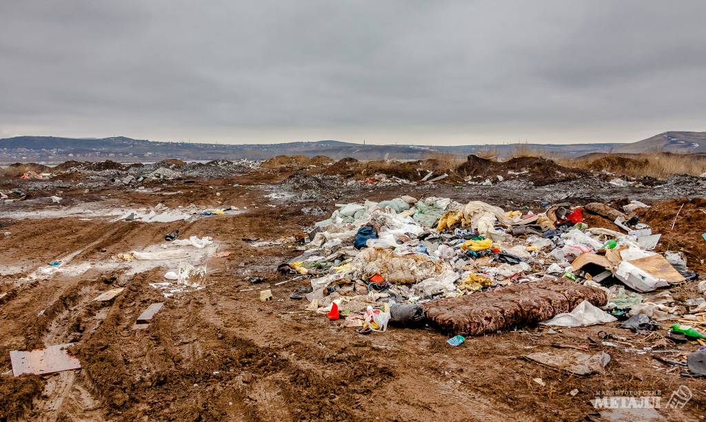 От свалок до повреждённых газонов | Фотография 1