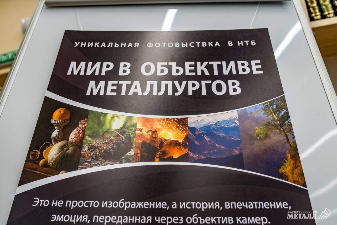 «Мир в объективе металлургов» | Фотография 11