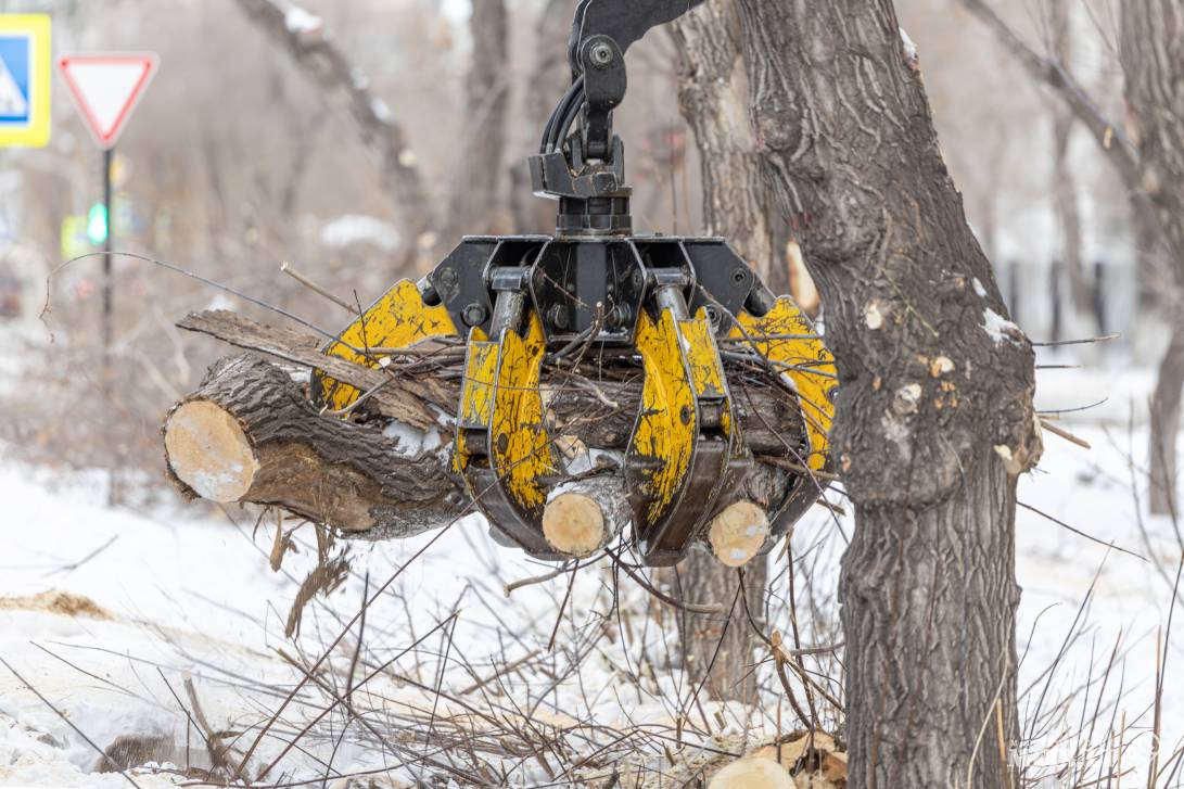 Убрать старое, чтобы посадить новое | Фотография 9