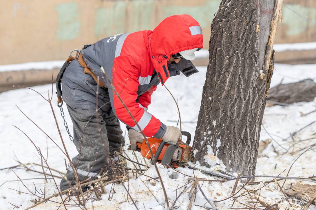 Убрать старое, чтобы посадить новое | Фотография 5