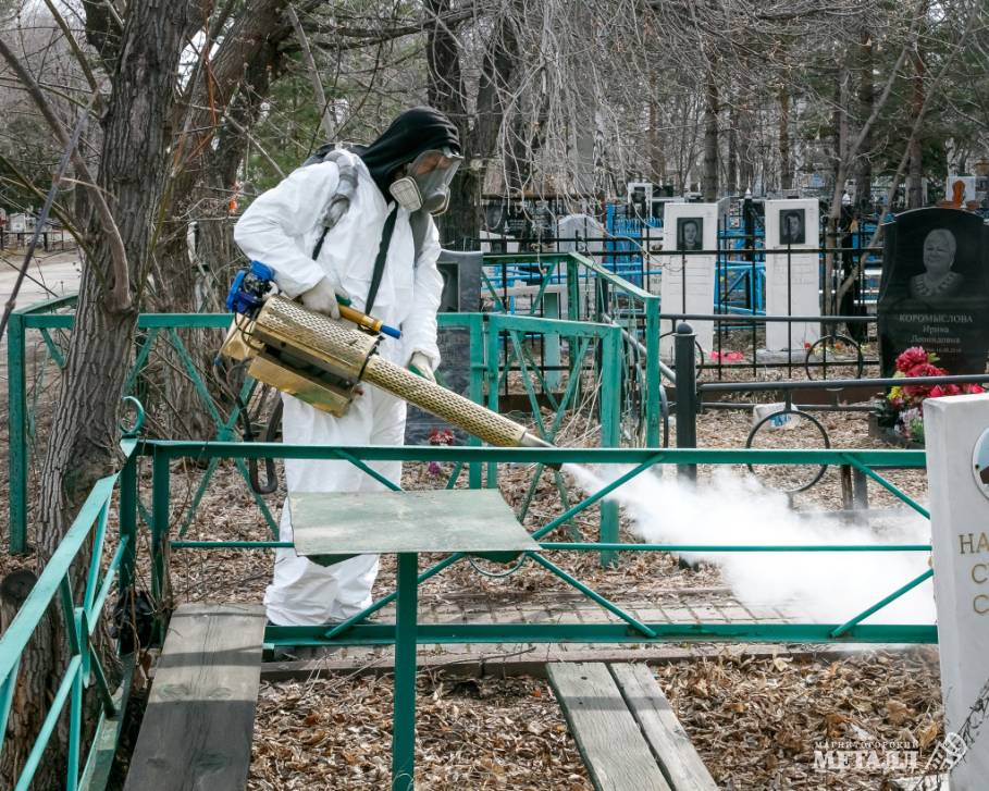 Долой клещей! | Фотография 1