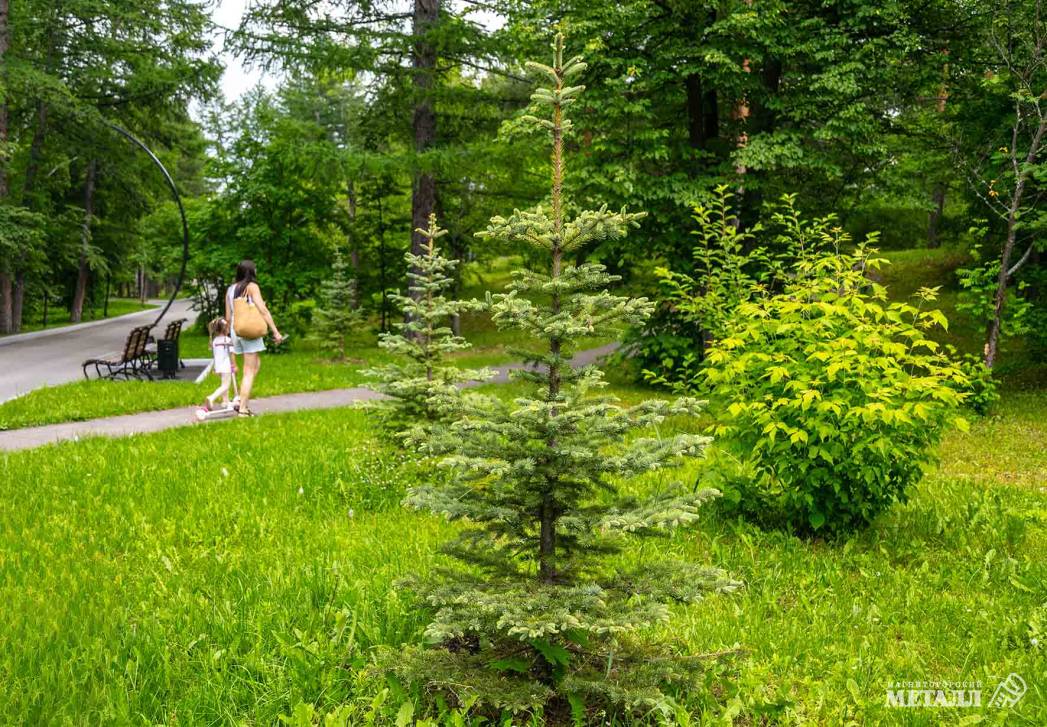 Теперь – под зелёным флагом  | Фотография 51