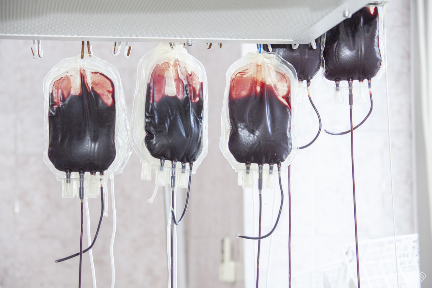Донорство крови – это своего рода волонтёрство, при котором человек безвозмездно отдаёт частичку себя, чтобы помочь другому.<br />
(фото 18)