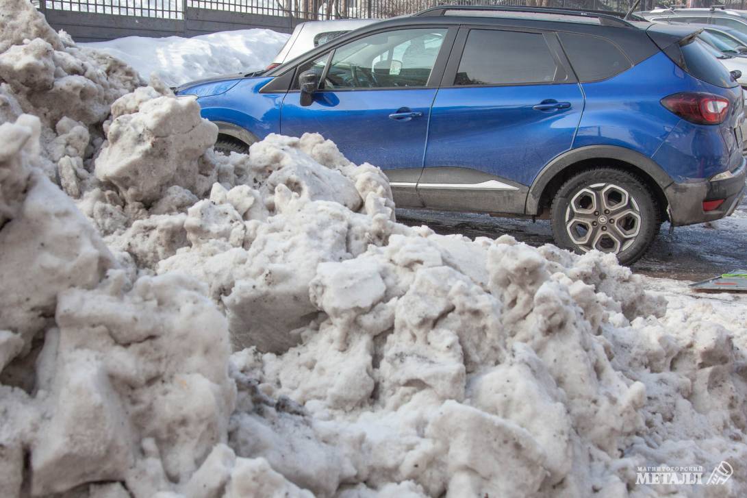 Весенние заботы | Фотография 5