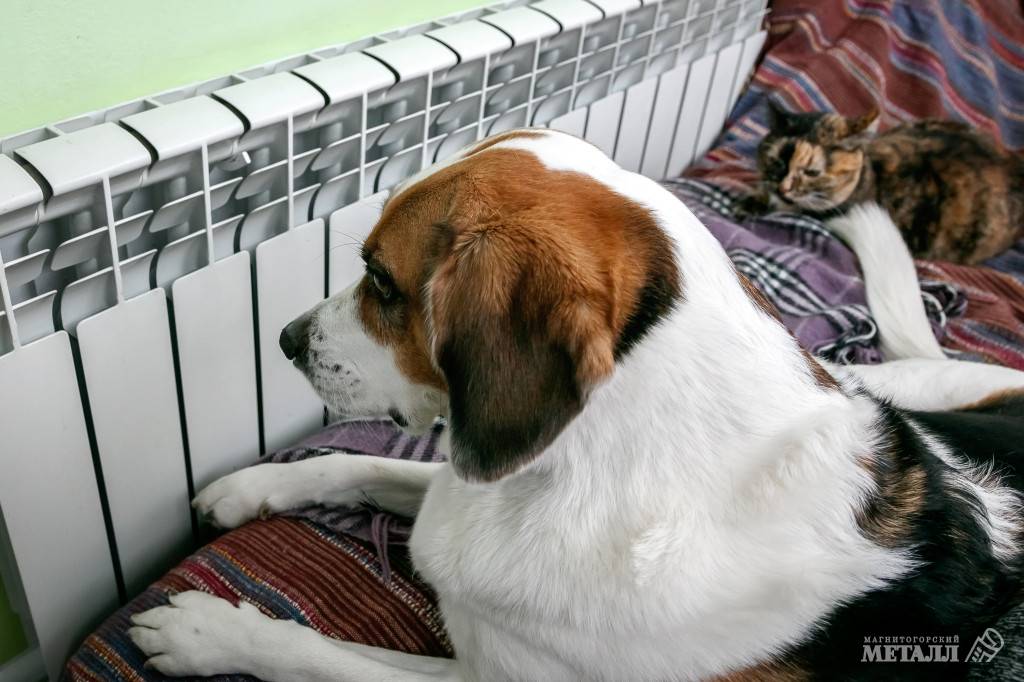 И носки не понадобятся | Фотография 1