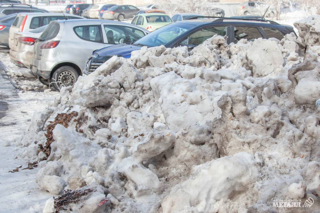 Весенние заботы | Фотография 9