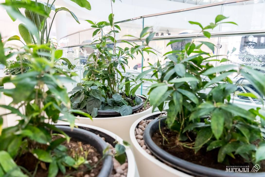 И среди зимы бывает лето | Фотография 28