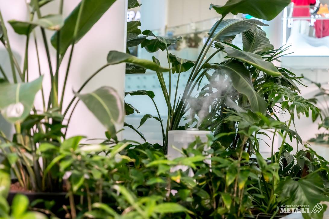 И среди зимы бывает лето | Фотография 12