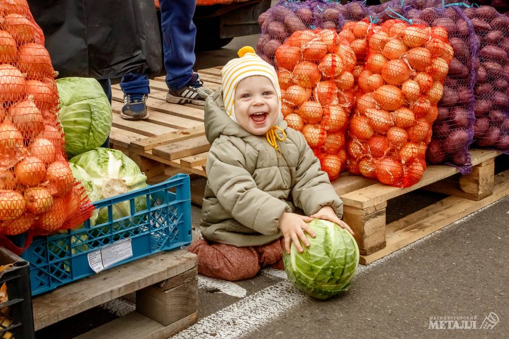 Ну хоть овощи дешевле | Фотография 1