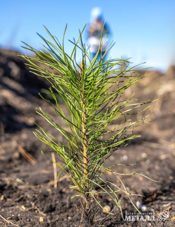 Не про потребление, а про созидание! | Фотография 23