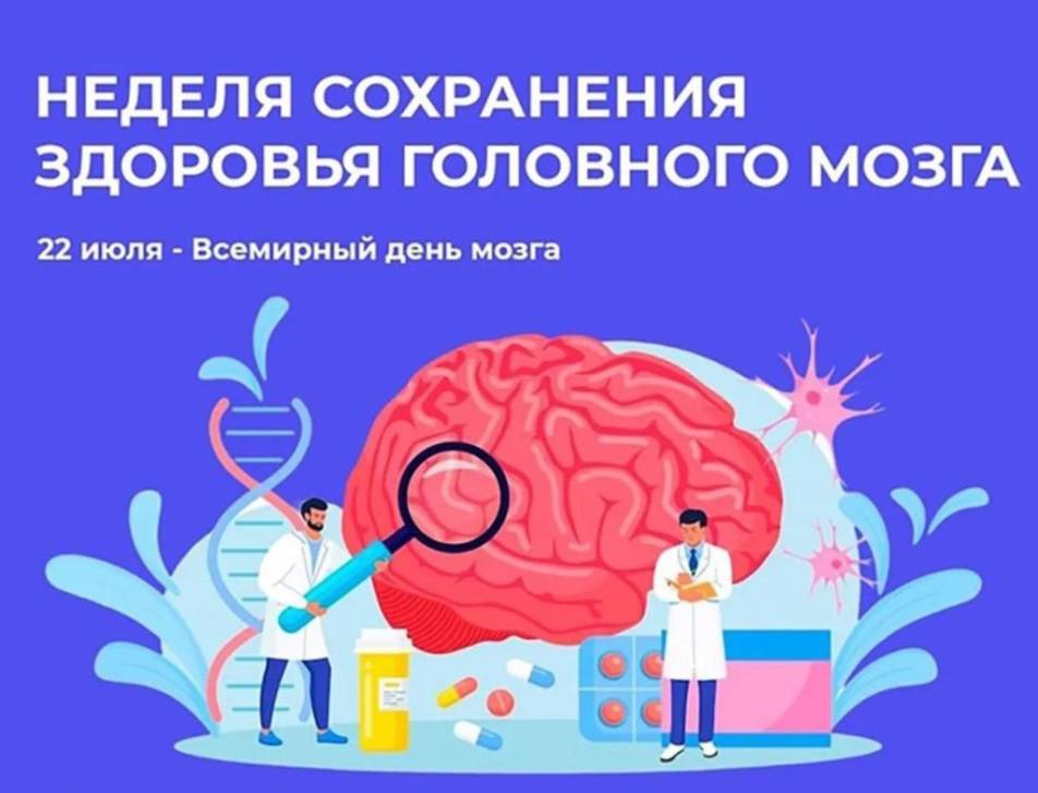 Сегодня – день мозга | Фотография 1