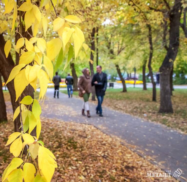 Осенние сюрпризы | Фотография 1