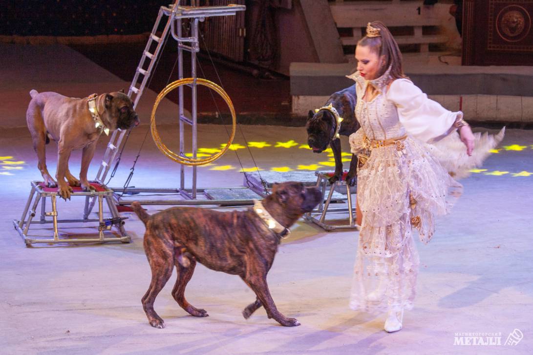 Новый год в Стране чудес | Фотография 17