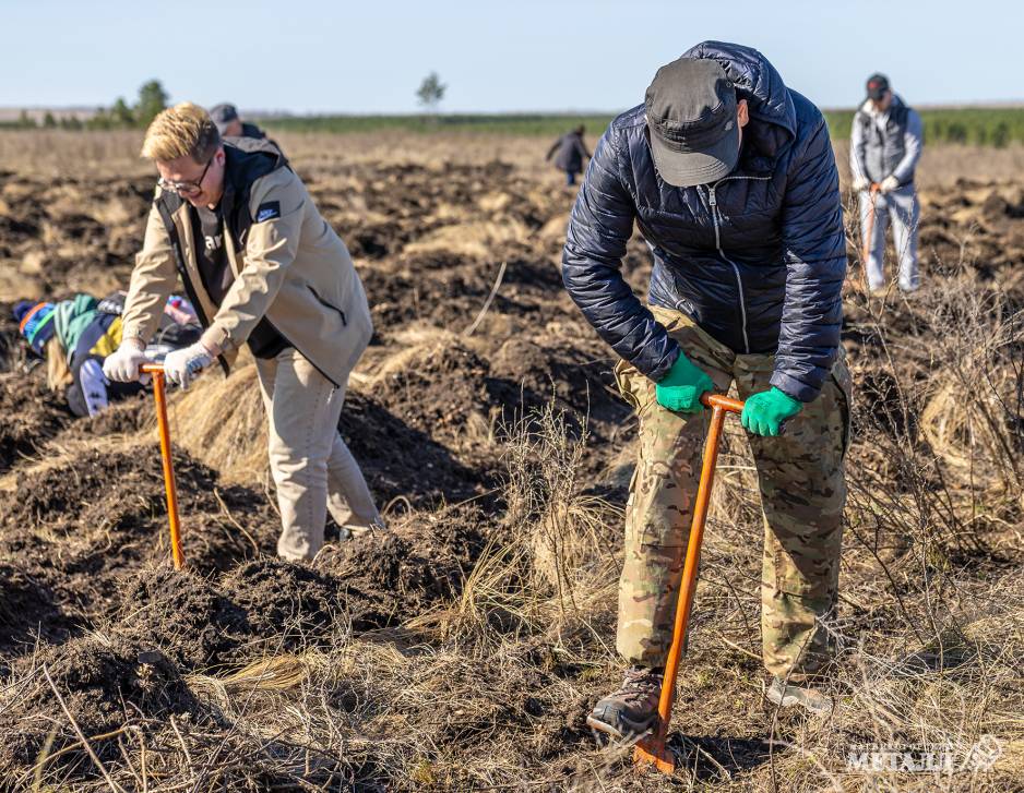 Не про потребление, а про созидание! | Фотография 12