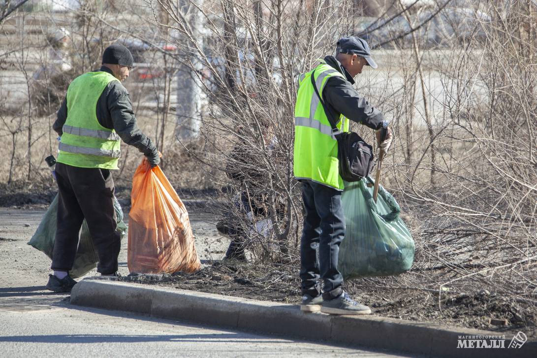 «Чистим пёрышки» | Фотография 8