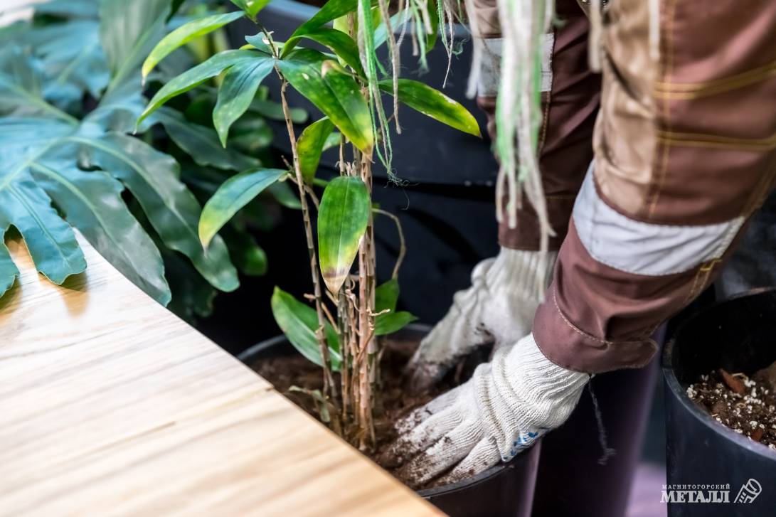 И среди зимы бывает лето | Фотография 24