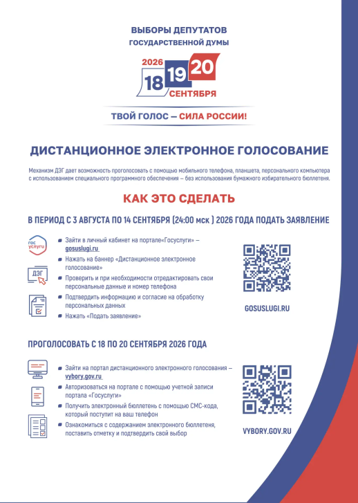 Выборы на Госуслугах | Фотография 3