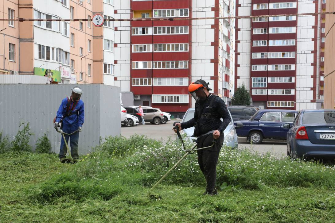 Зелёный вызов принят | Фотография 1