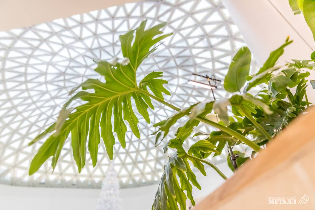 И среди зимы бывает лето | Фотография 1