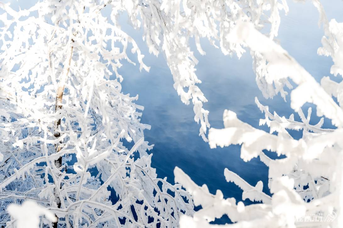 Прощай, зима! | Фотография 13