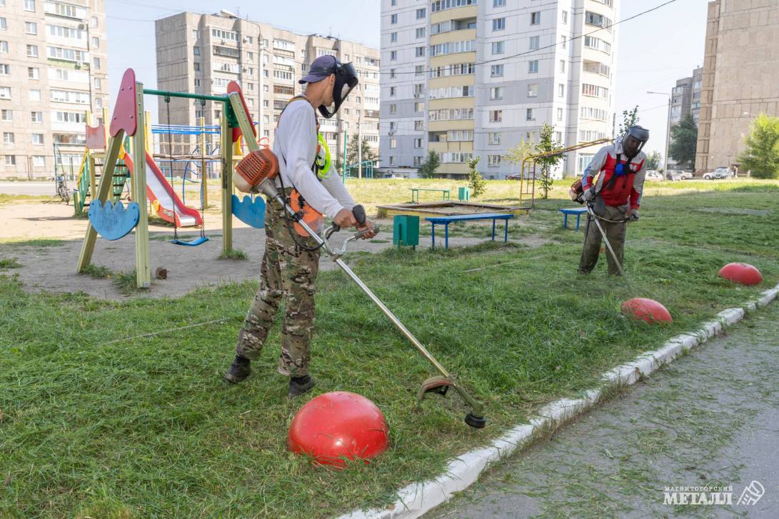 Рост нужно контролировать  | Фотография 5