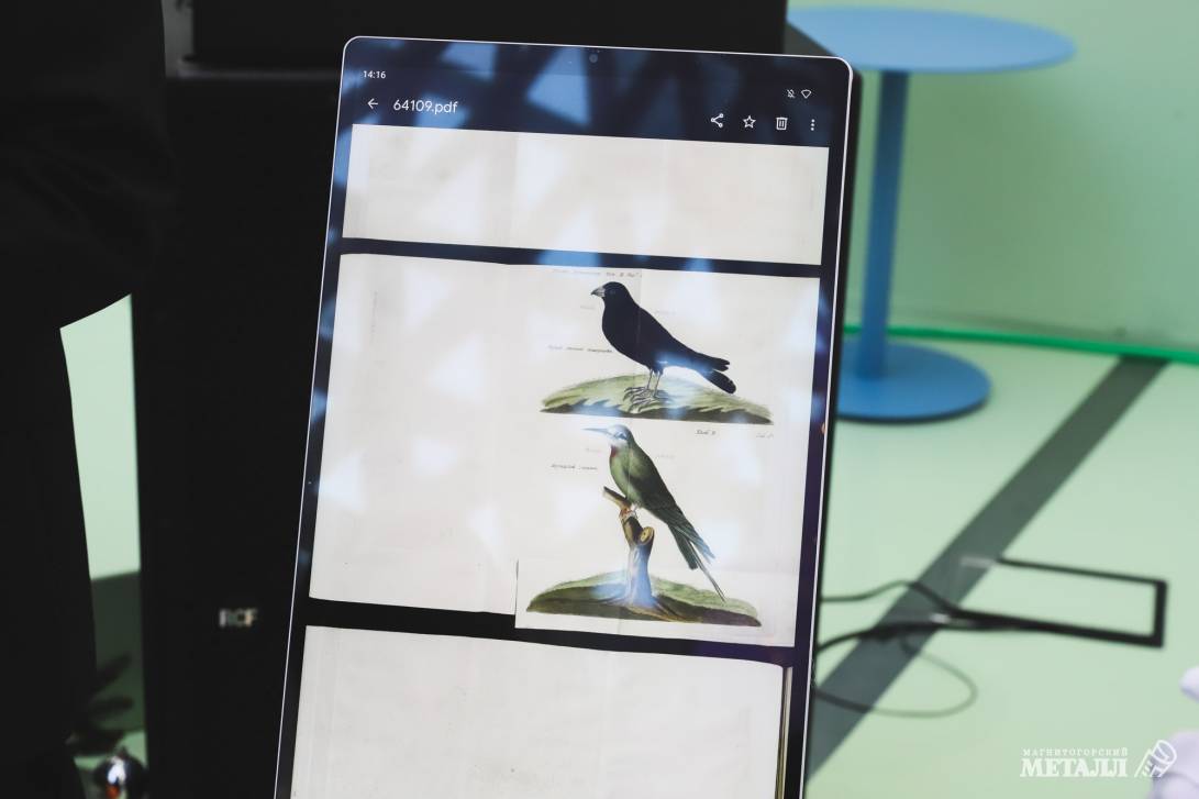 Культурный код города М | Фотография 3