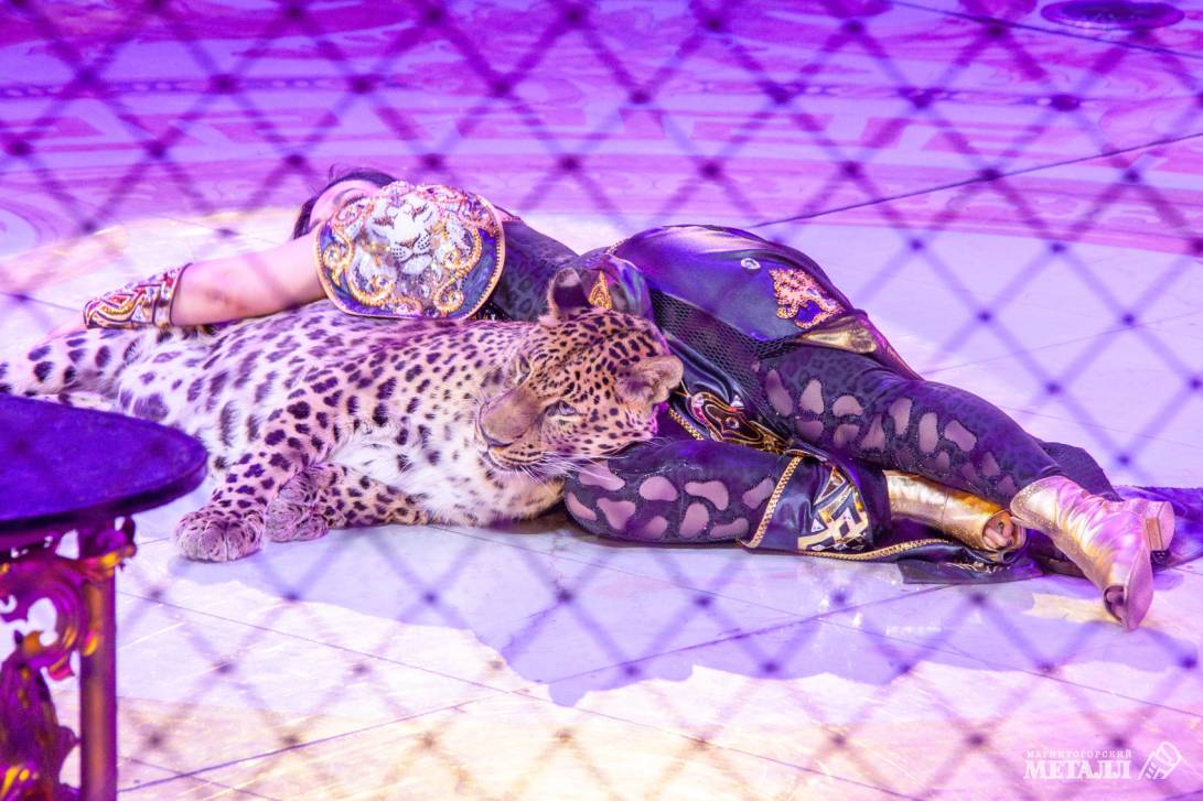 Новый год в Стране чудес | Фотография 37