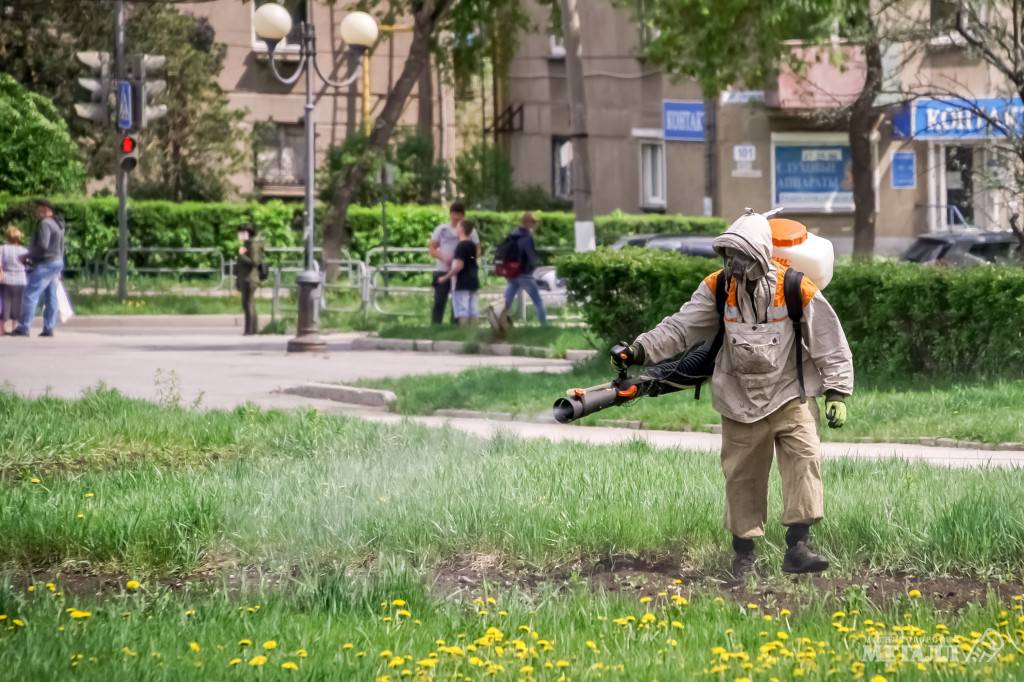 Клещи не дремлют | Фотография 1