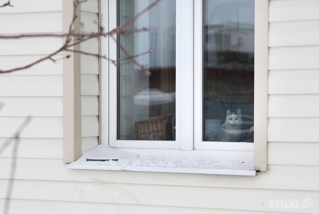 От детей и кошек | Фотография 1