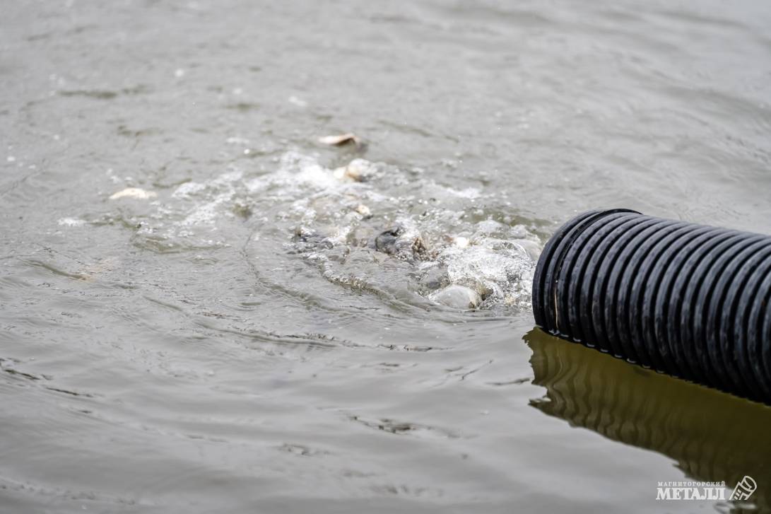 Рыбаки, готовьте удочки! | Фотография 24