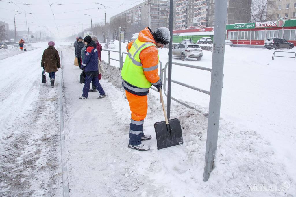 Зимние заботы | Фотография 1