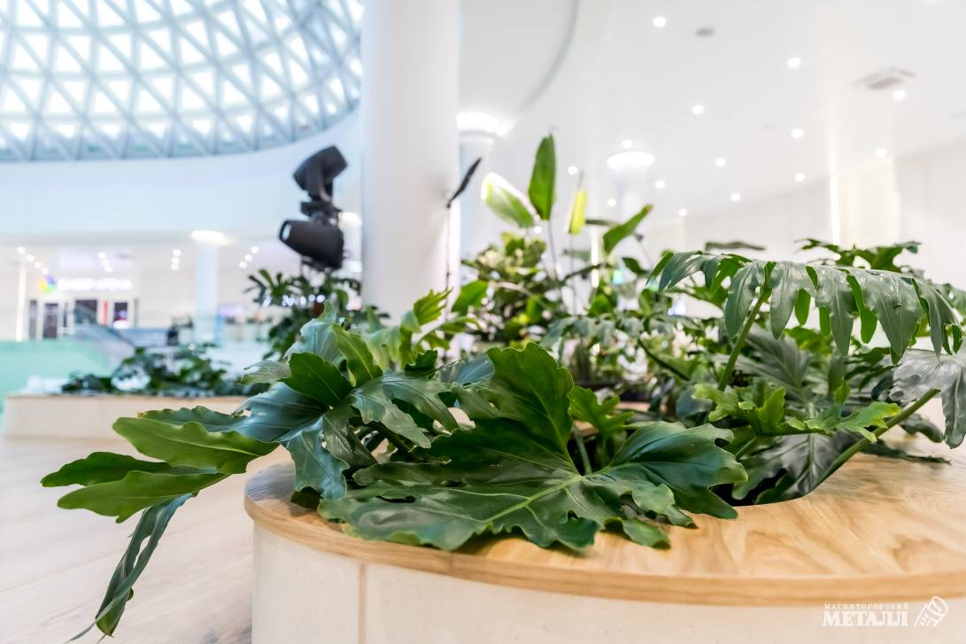 И среди зимы бывает лето | Фотография 10