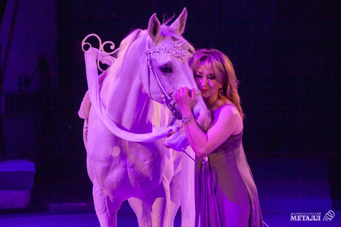 Новый год в Стране чудес | Фотография 11