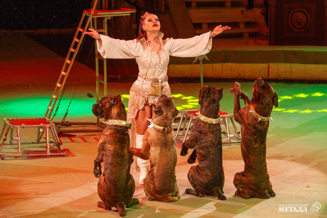 Новый год в Стране чудес | Фотография 20